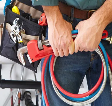 Guapira Desentupidora